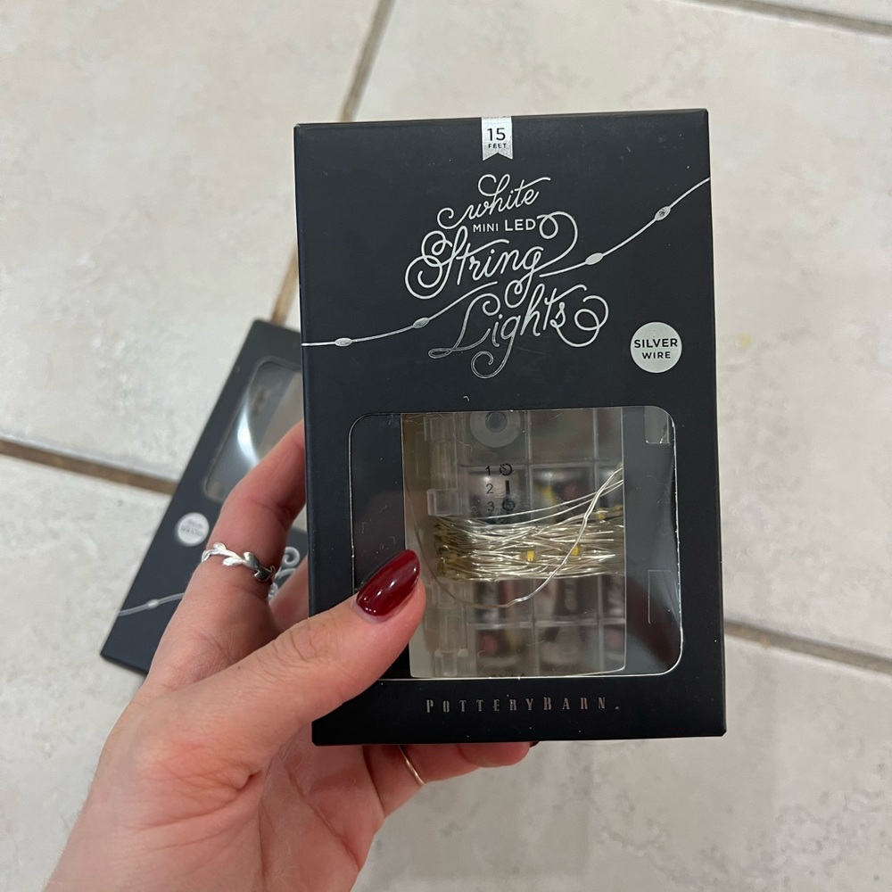 Pottery Barn mini LED String of Lights (silver wire, 15ft)